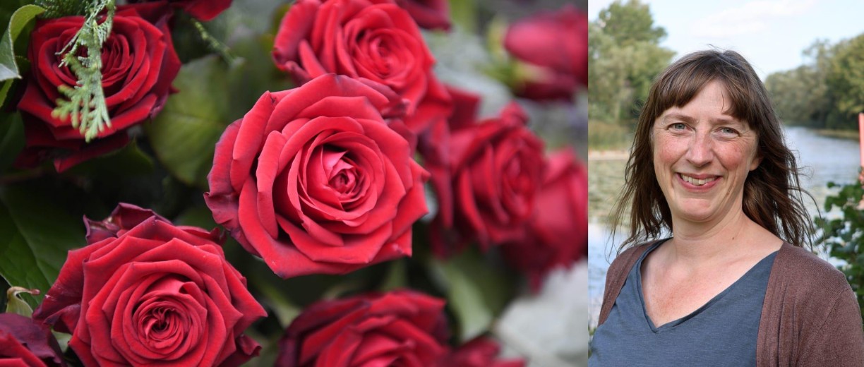 Till vänster: rosor, till höger: en kvinna i naturen