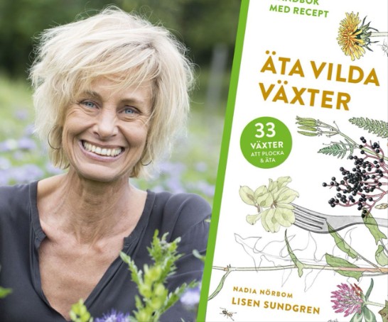 Lisen Sundgren