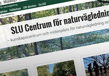 CNVs webbplats.