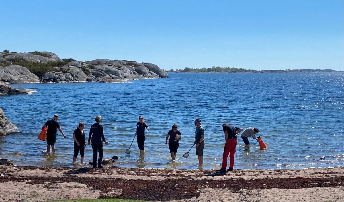 Zarahs strand, Bullerö. Foto: Eva Sandberg, CNV