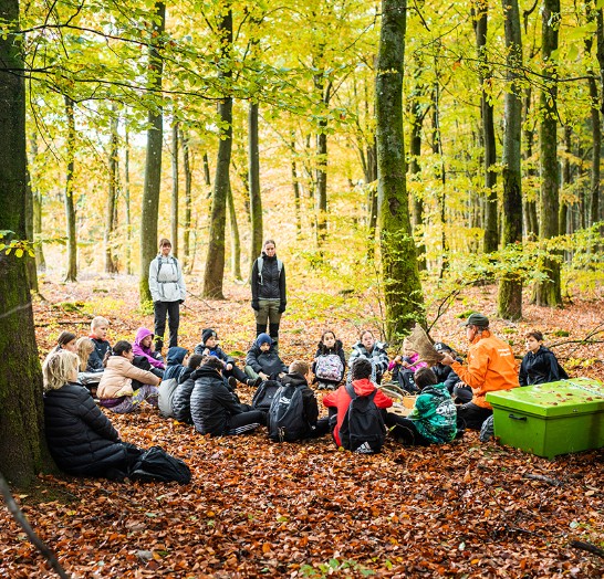 Femteklassare på Skåneleden. Foto: Skånska landskap.