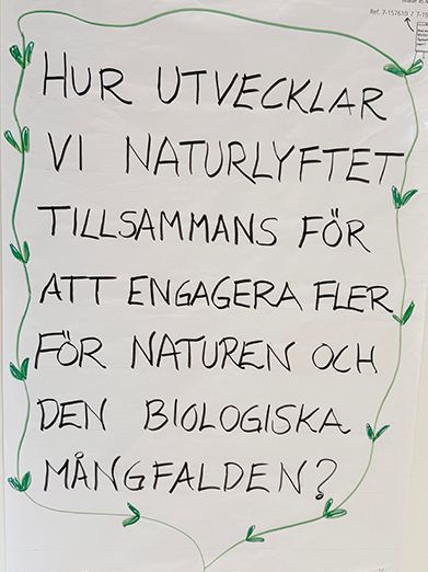 Naturlyftet
