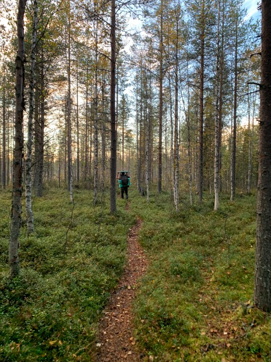 Bild som tillhör Dacche-projektet. https://www.interreg-npa.eu/projects/dacche/