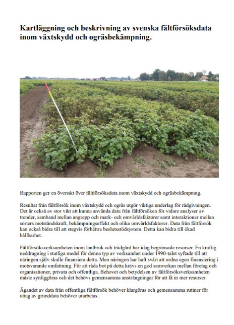 Framsidan av rapportet Kartläggning och beskrivning av svenska fältförsöksdata med en bild av ett potatisfält och en kort sammanfattning.