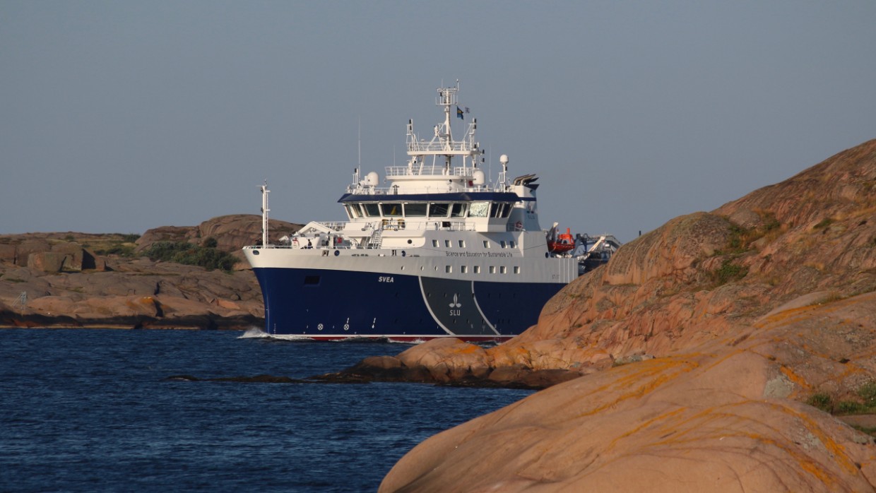 A smaller ship in the archipelago