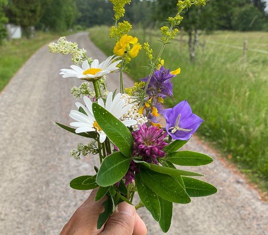 Vägkantsblomster.