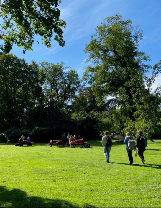 Naturvägledning för yrkesverksamma 2025 i Stadsträdgården Uppsala. Foto: Eva Sandberg  