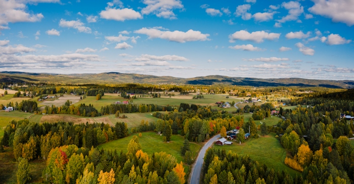 Samhälle med åkermark och skog