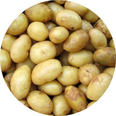 potatis