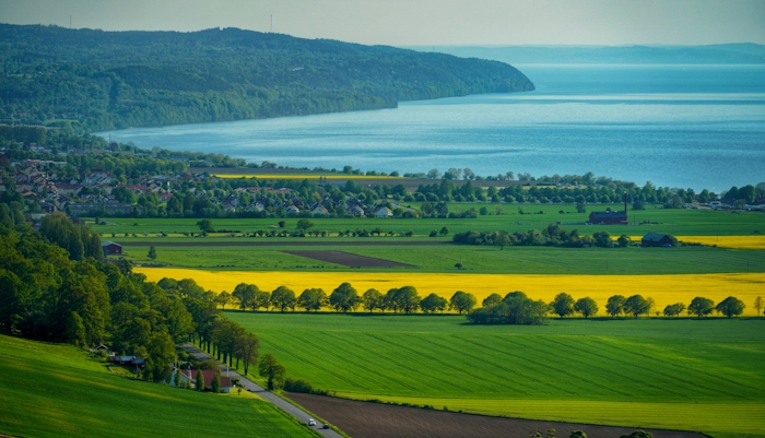 Samhälle vid vatten, åkermark och skog