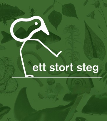 Illustration med grön bakgrund med diffusa arter och en vit fågel-streckgubbe på en vit linje