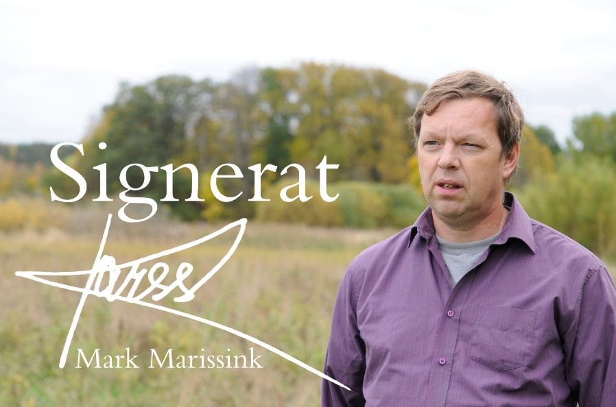Mark Marissink