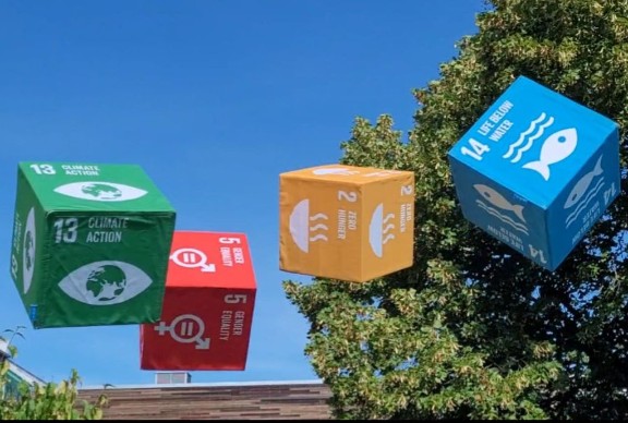 SDG