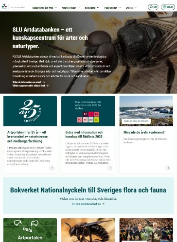 Siluett av tre personer