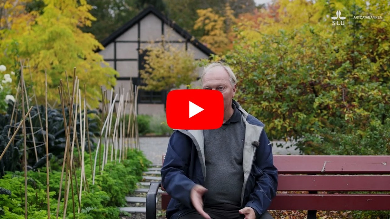 Startbild för video med mannen som intervjuas sittandes på parkbänk.