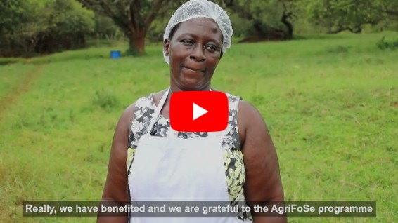 Success stories from the GEMVAM project