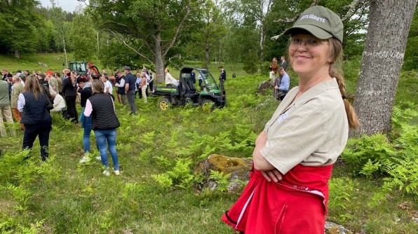 Bi på äppleblom. Foto: Lotta Fabricius Kristiansen