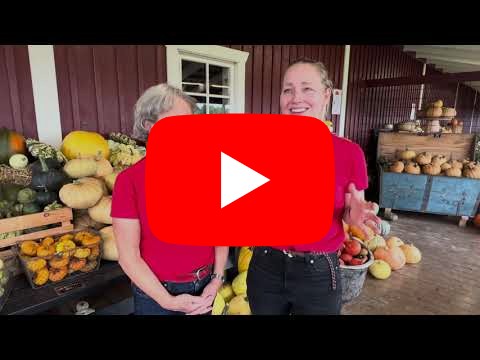 Film om Hallongården