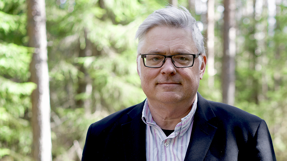 A man in a dark blue suit and striped shirt in a forest. Photo.