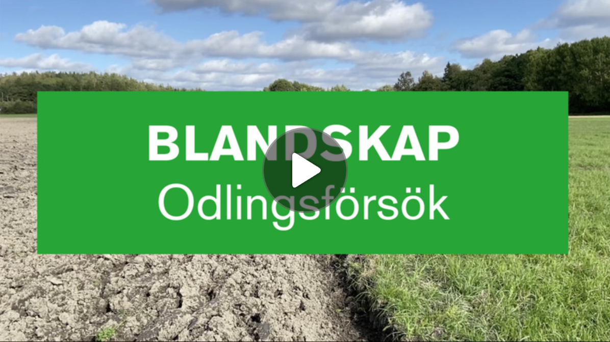 Skärmdump från film om odlingsförsök.