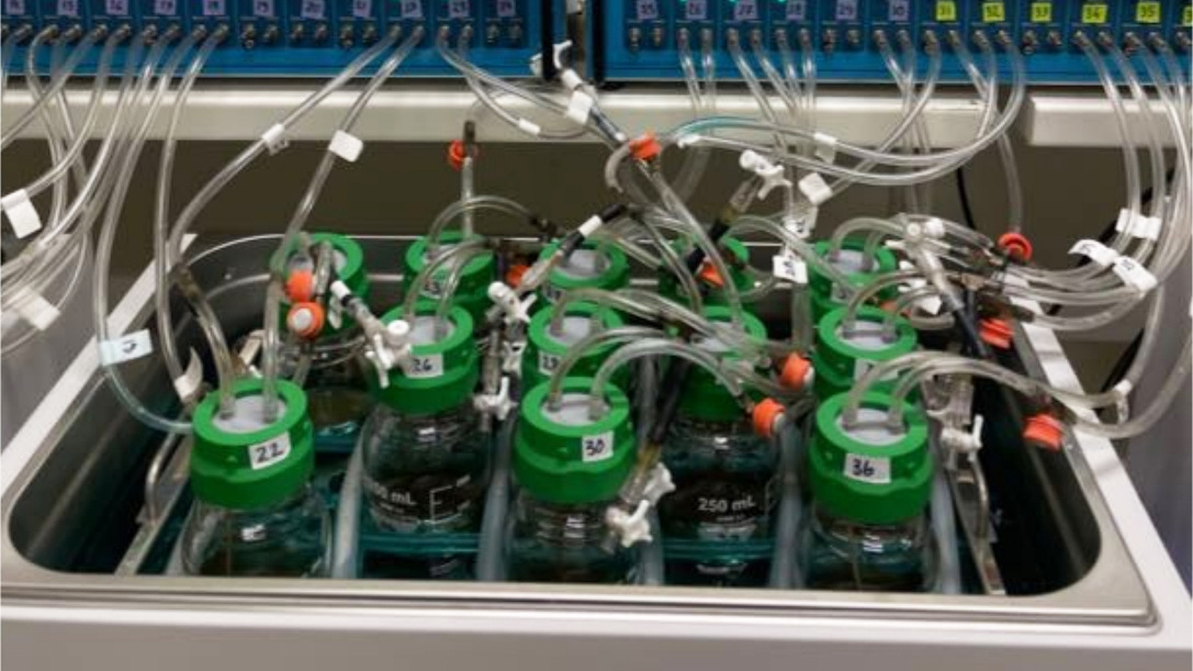 Flaskor med slangar i en laboratoriemiljö. Foto.