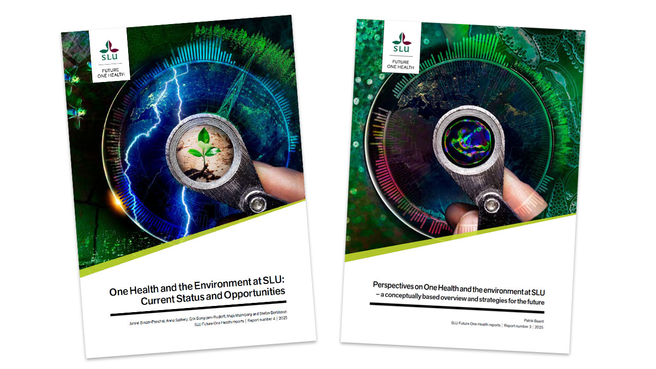 Covers of two reports. Image montage.