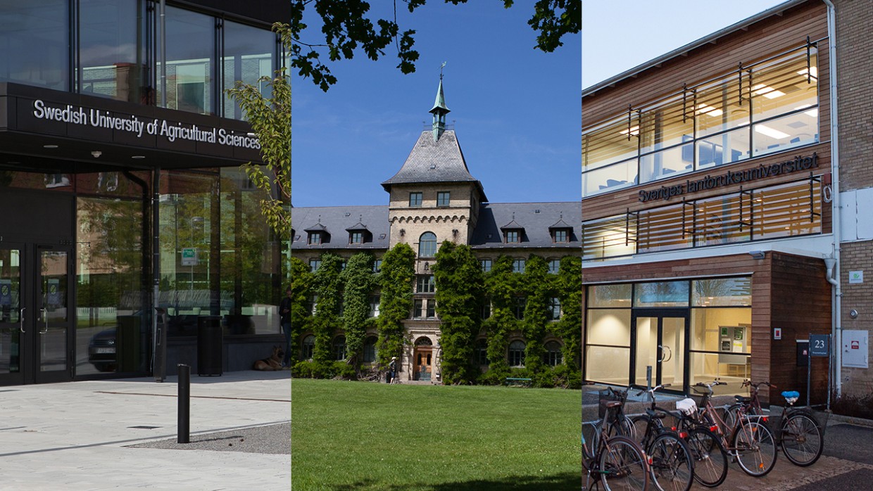 A collage with three images of modern buildings and an old castle. Photo. 