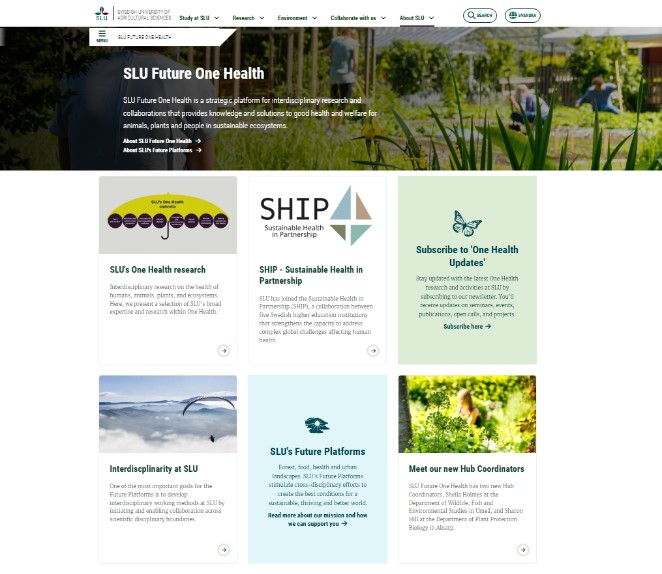 A screenshot of a webpage. Image.