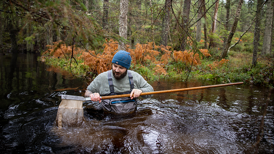 A man stands in a river collecting samples in a net. Photo.