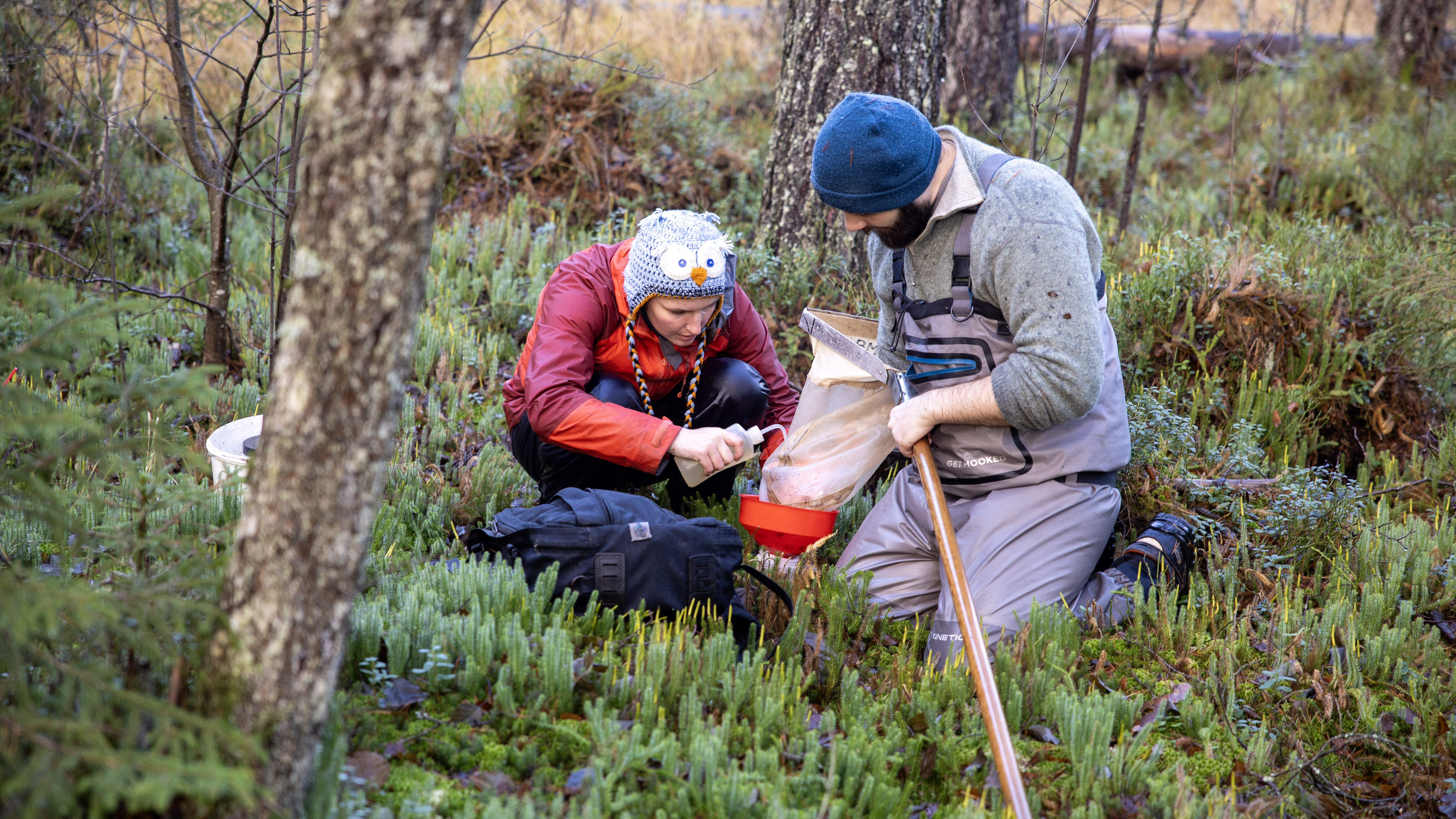 A man and a woman are crouching in a woodland setting, collecting samples for research purposes. Photo.