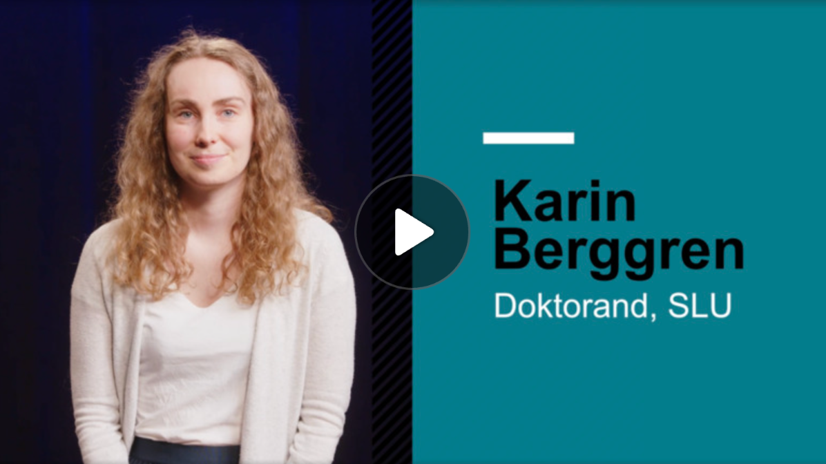 Karin Berggren