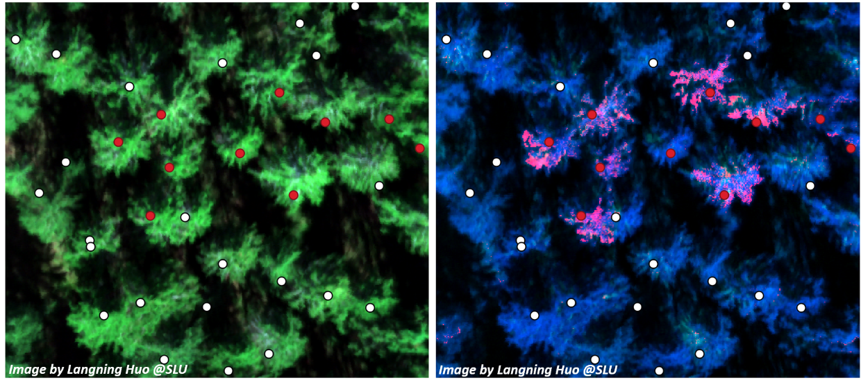 Comparative image between what the human eye sees and what technology picks up. Photo.