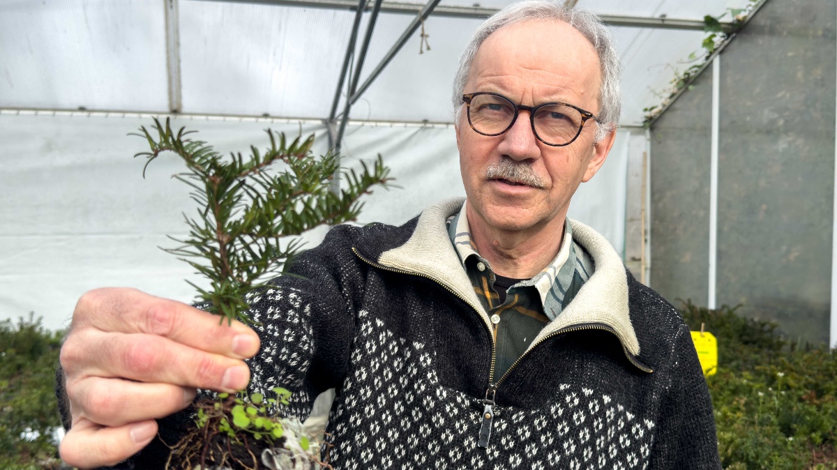 man med planta