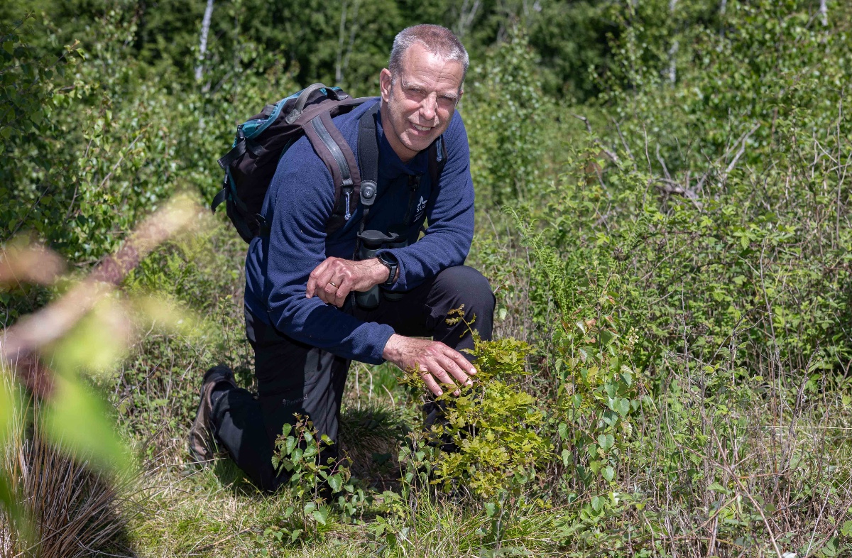 man vid planta i skogen