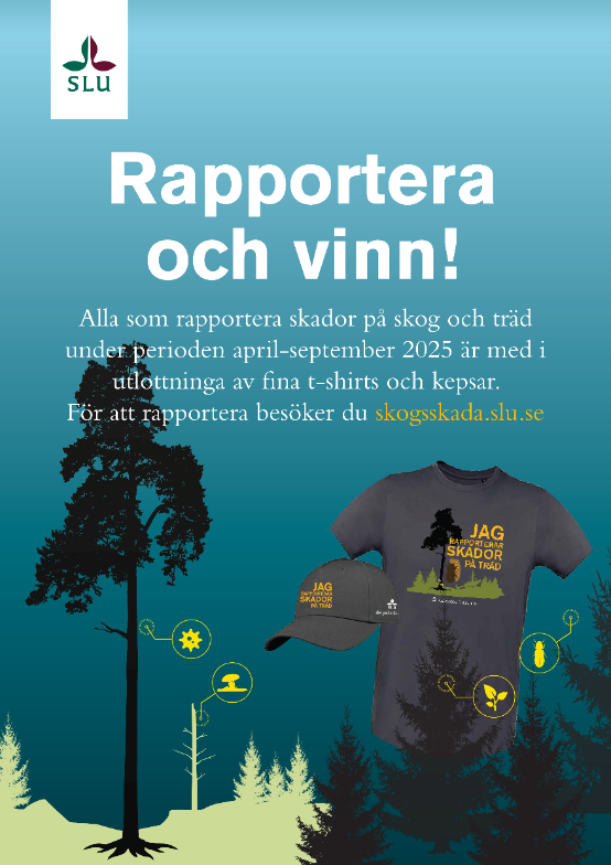 Poster print screen. Picture. 