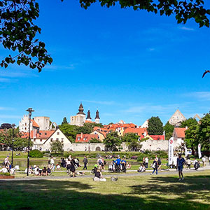 Almedalen i Visby. Foto: Louise Florin/Region Gotland