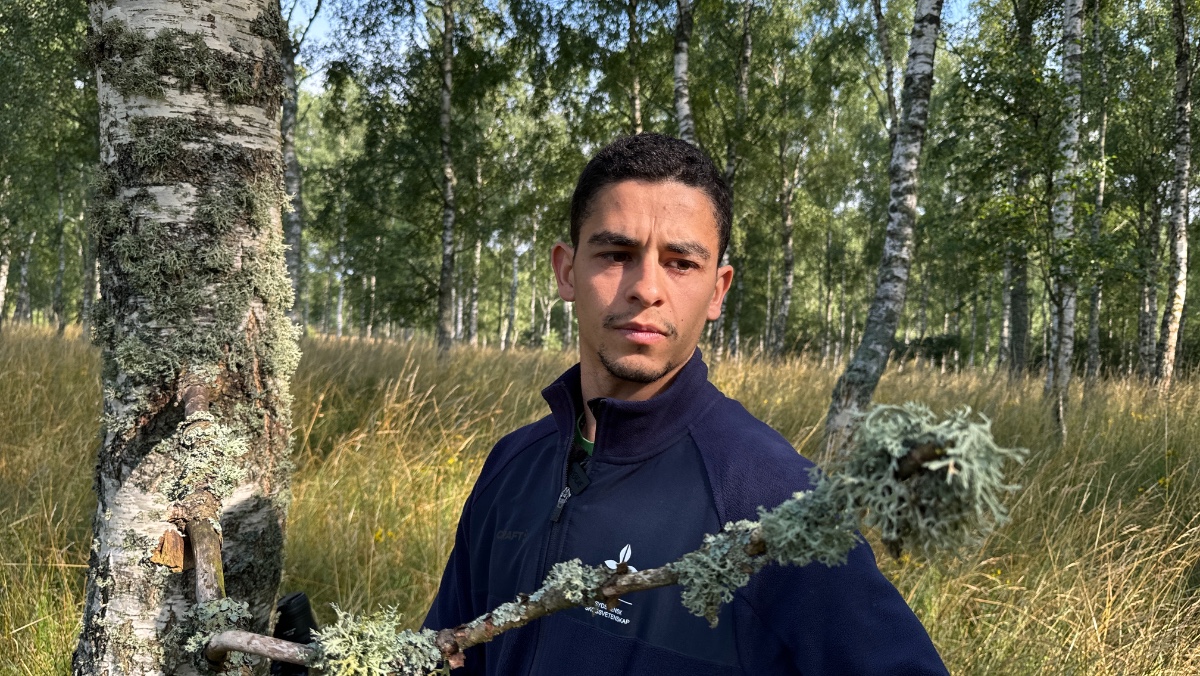man i skogen 