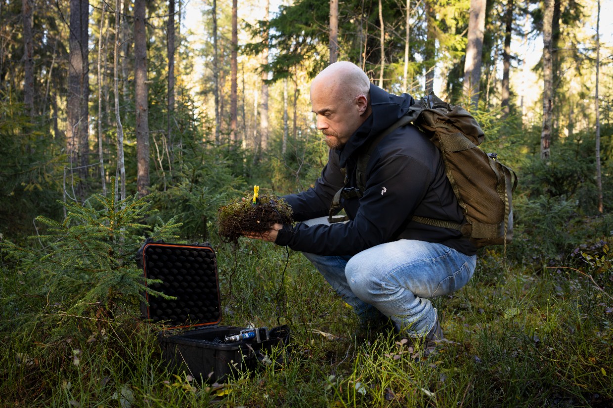 Professor Jonatan Klaminder in forest. Photo. 