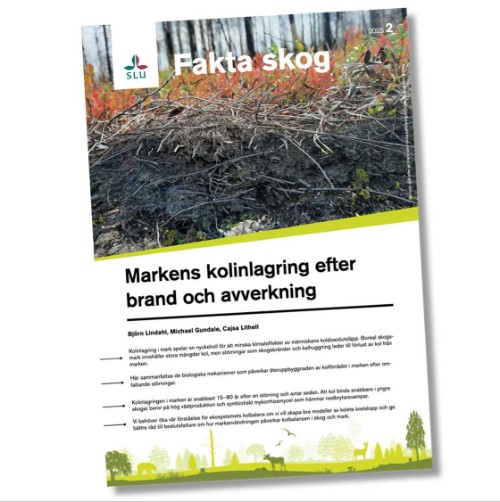 Front of Fakta skog -report. Picture.  