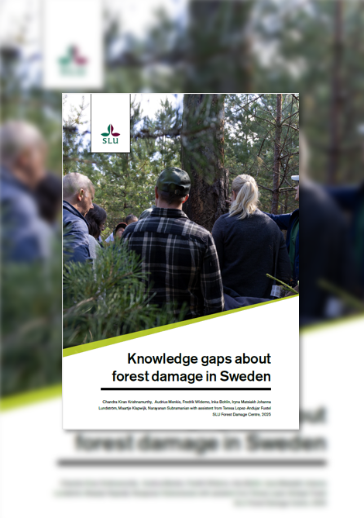 Framsida på rapporten. Bild.