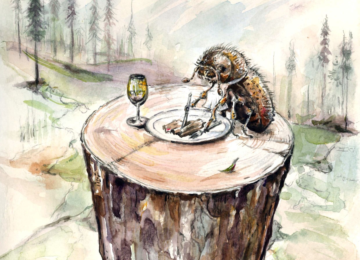 Spruce bark beetle having a meal on stump. Illustration. 