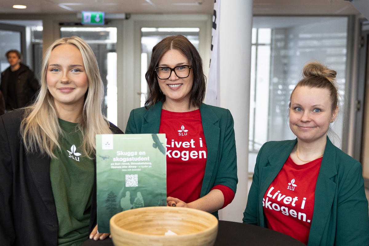 eventpersonal på turné