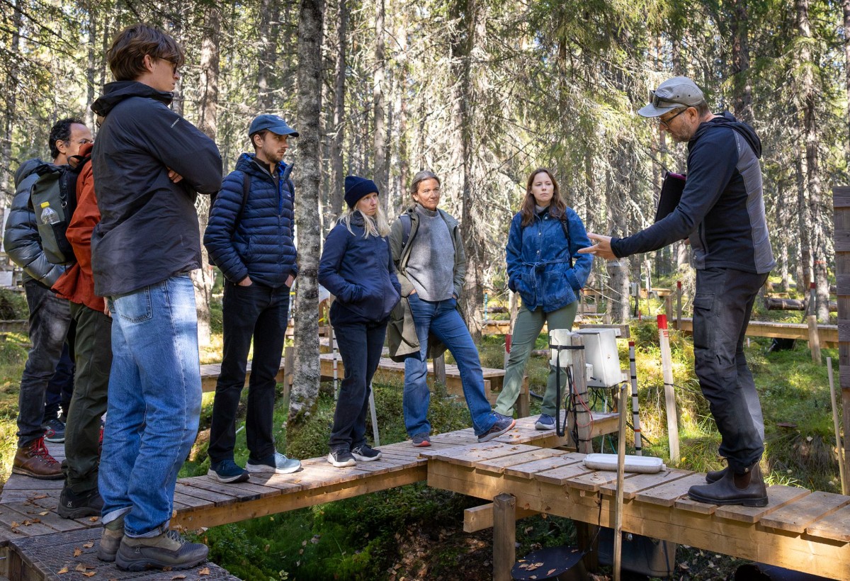A group of people visiting a forest research site.