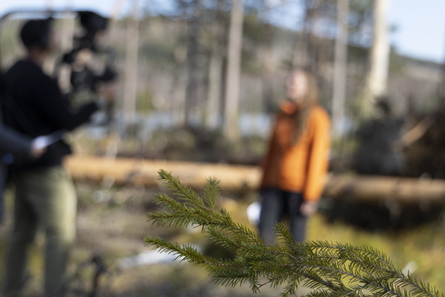 Kameraman framför en intervjuperson i skogen. grangren i förgrunden. Foto. 