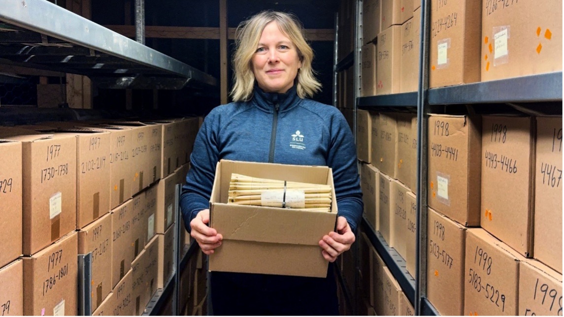 kvinna med låda i arkiv