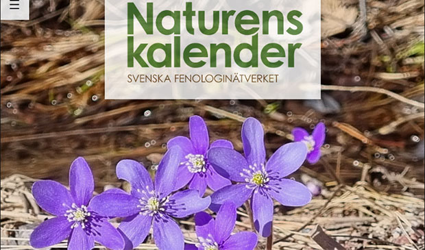Skärmbild