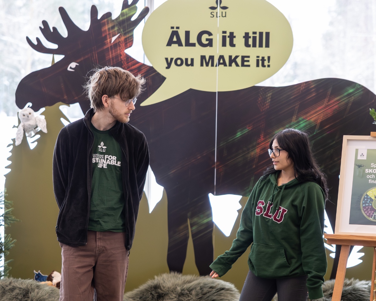 två studenter och en älg