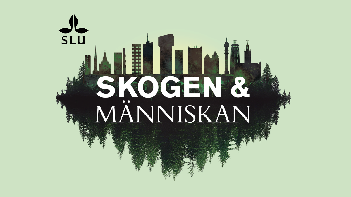 skogen och människan