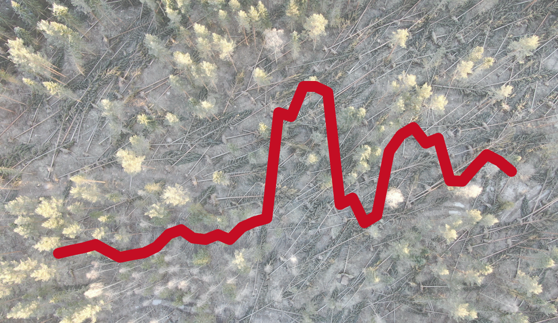 grafik som visar att skadorna fördubblats