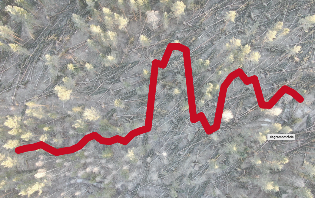 Storm damaged forest with a graf as a layer on top. Picture. 